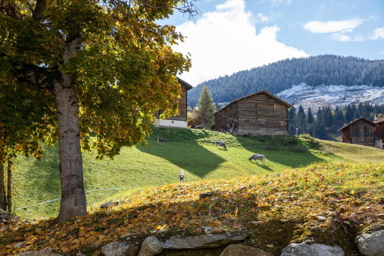 Alpenlodge Val Gronda Оберзаксен Экстерьер фото